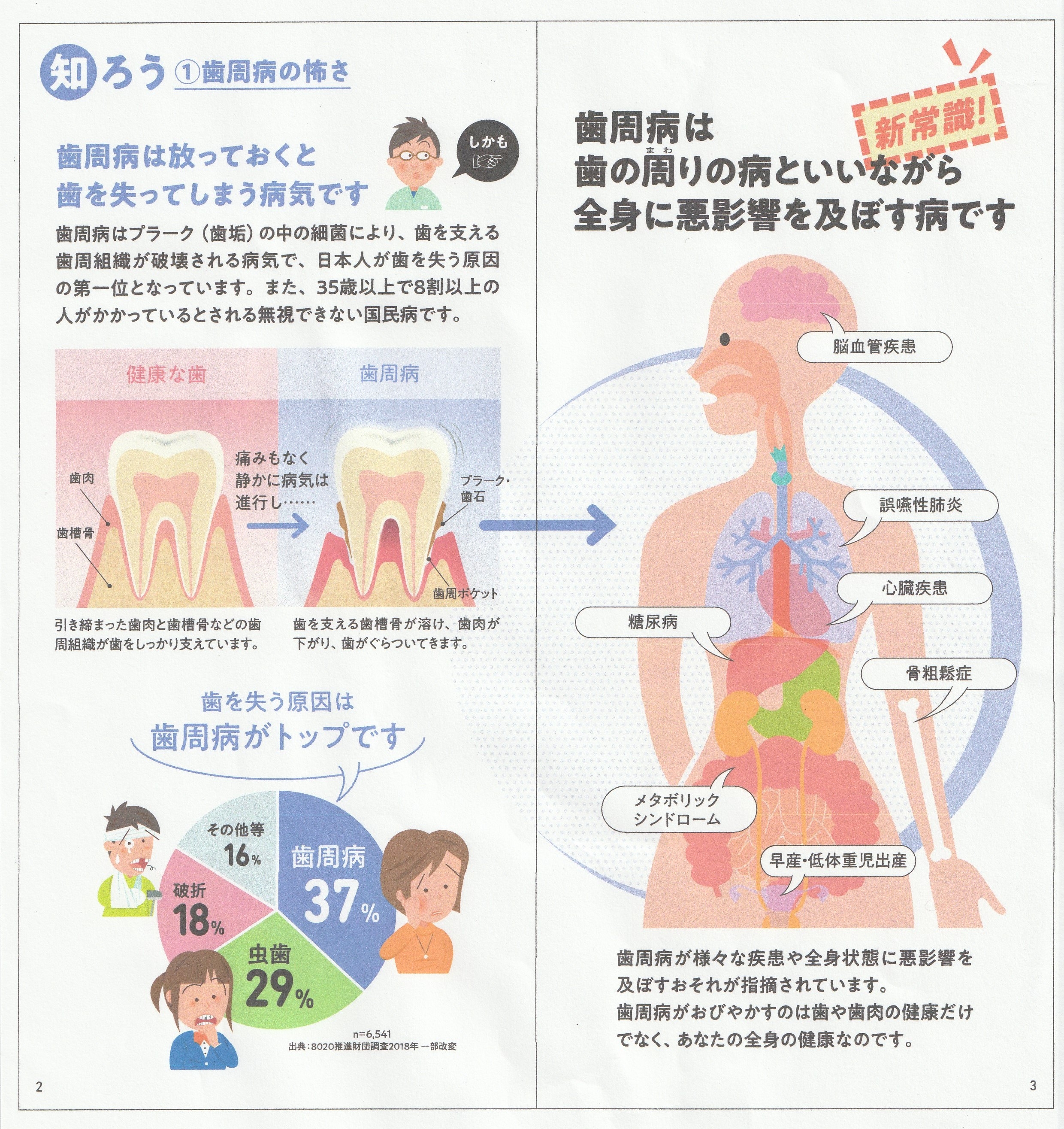 歯周病菌と全身への関わり